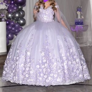 quinceanera or sweet sixteen dress